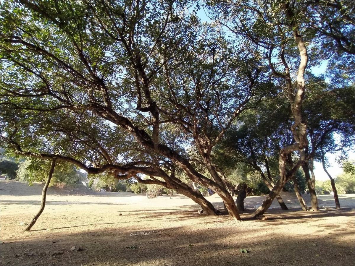 Marina di Gairo New Camping Coccorrocci מראה חיצוני תמונה