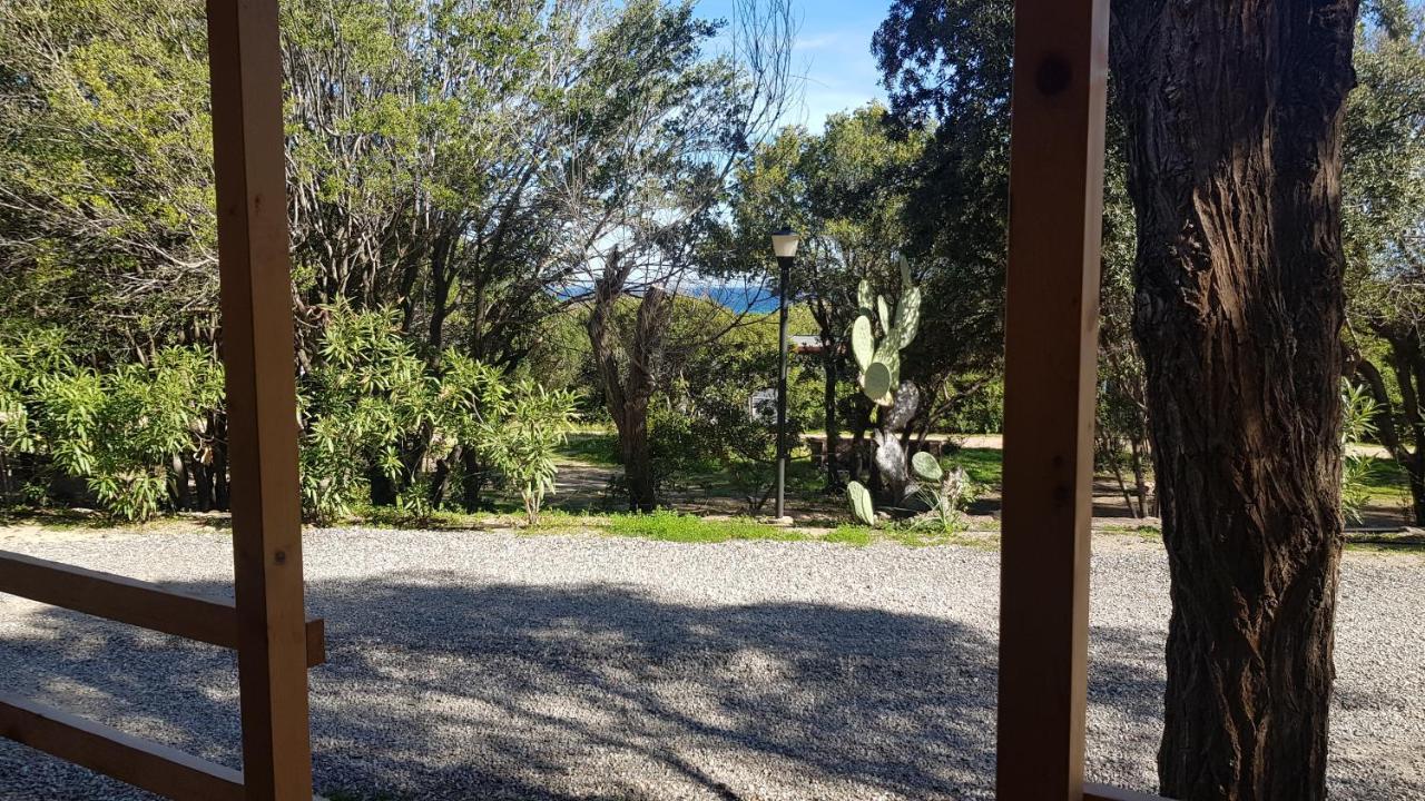 Marina di Gairo New Camping Coccorrocci מראה חיצוני תמונה