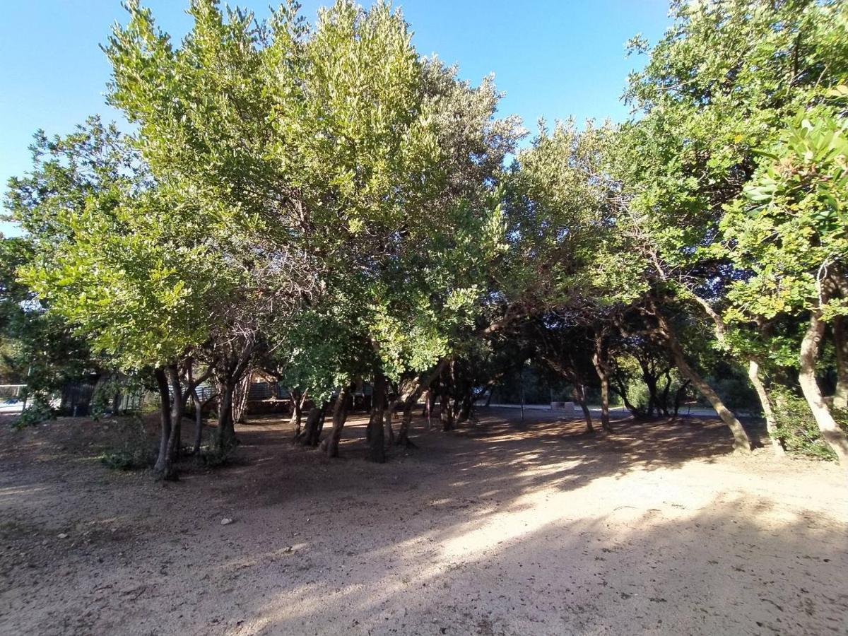Marina di Gairo New Camping Coccorrocci מראה חיצוני תמונה