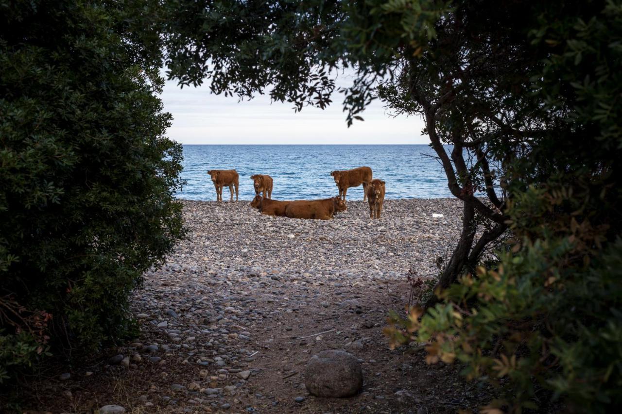 Marina di Gairo New Camping Coccorrocci מראה חיצוני תמונה